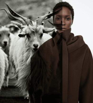 Ethical Cashmere